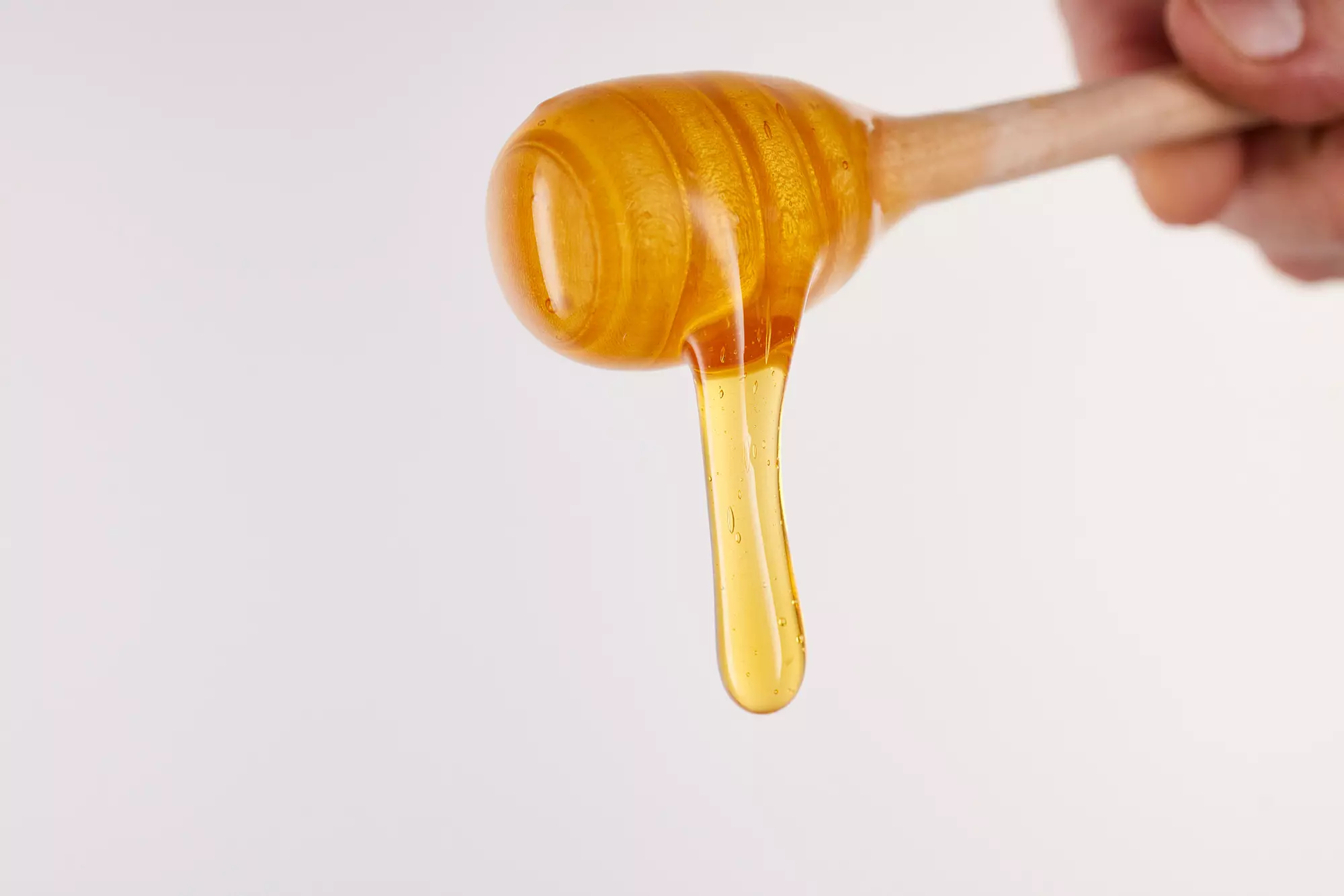 norevo_Qualität_polyflora_Honig